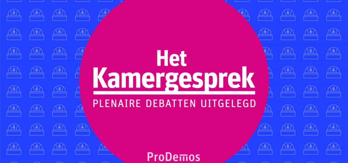 Het Kamergesprek: plenaire debatten uitgelegd