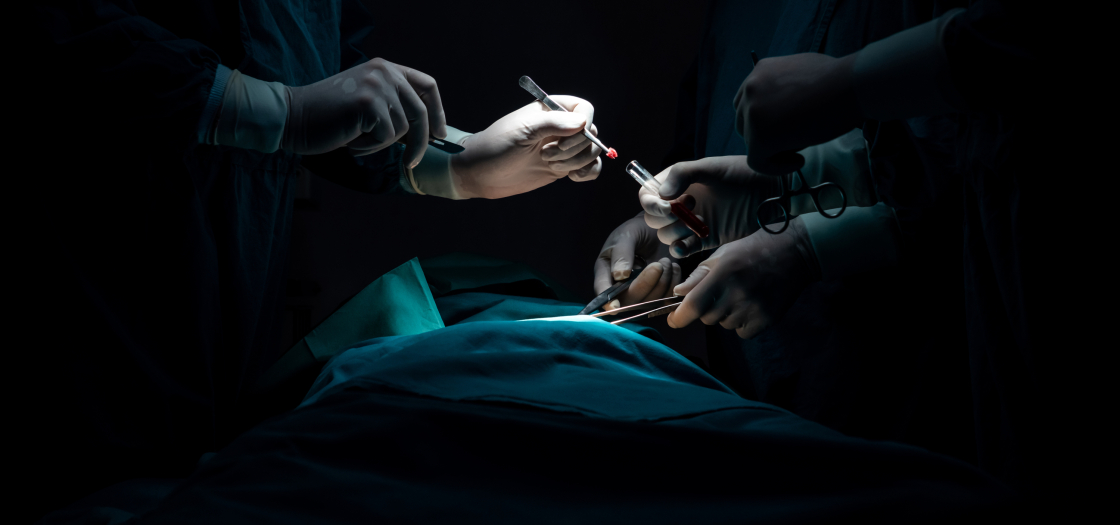 Conference and presentation Report Forced Organ Harvesting from Living People in China