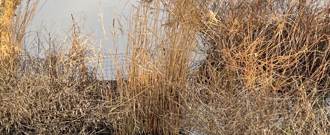 EBN Actualiteiten Gesprek New Soul for Europe 