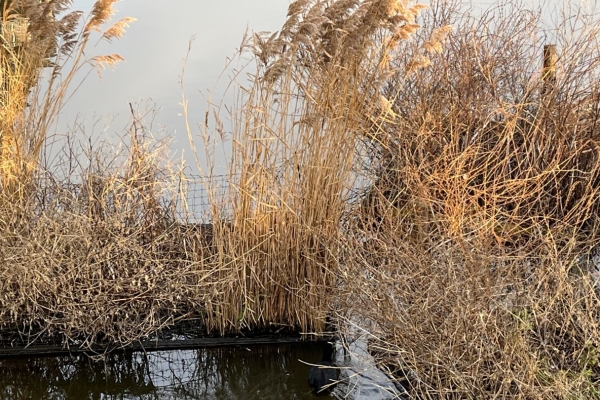 EBN Actualiteiten Gesprek New Soul for Europe 