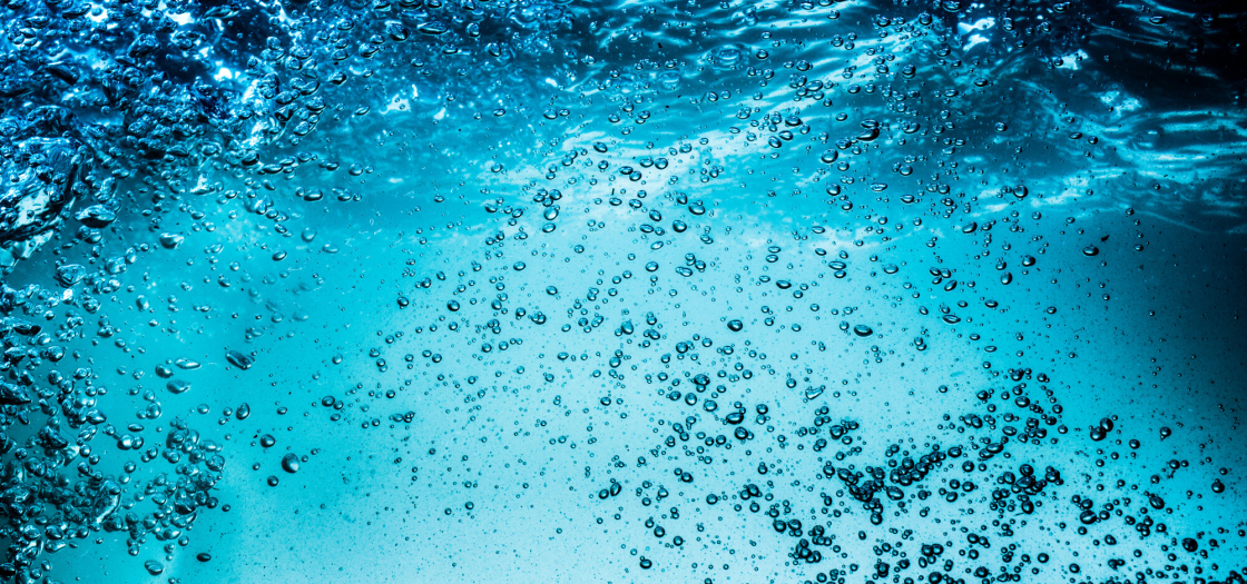 WaterPoort: Waterkwaliteit